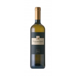 Ribolla Gialla Teresa Raiz